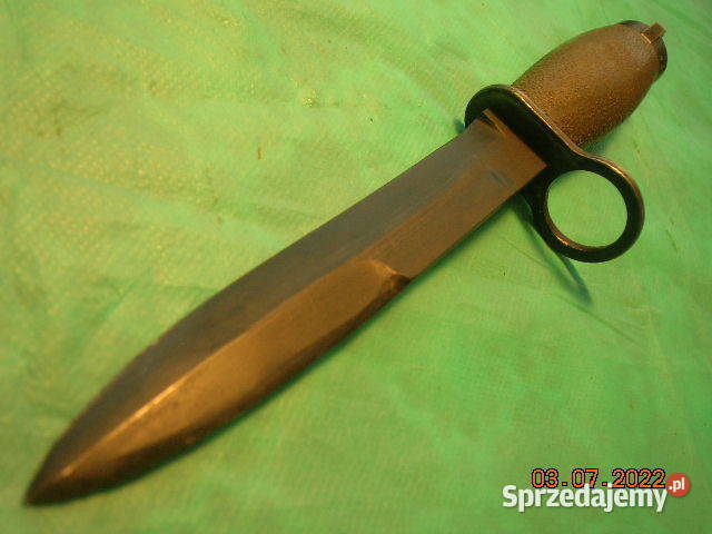 Bagnet Norweski w stanie Łódź