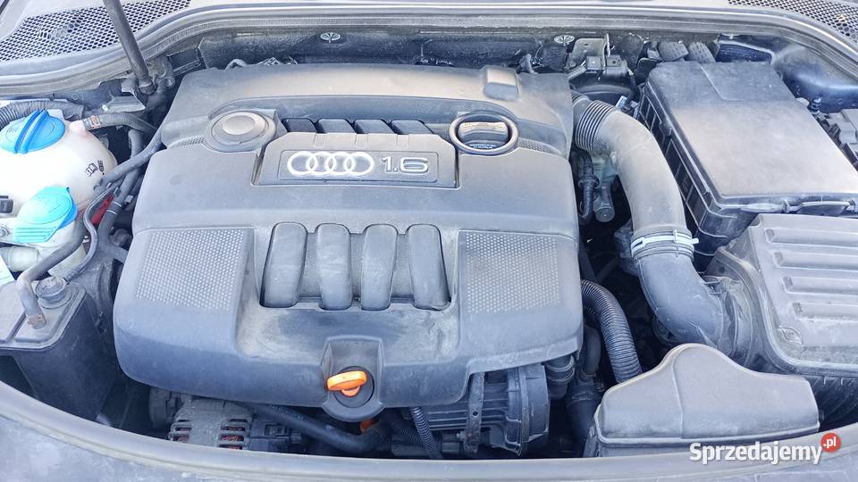 A3 Sportback 2006 16 benzyna A3 mazowieckie Wsola
