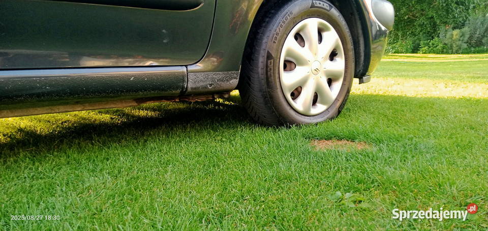 Citroen Xsara Picasso 20 Hdi 2cm3 Brodnia Górna