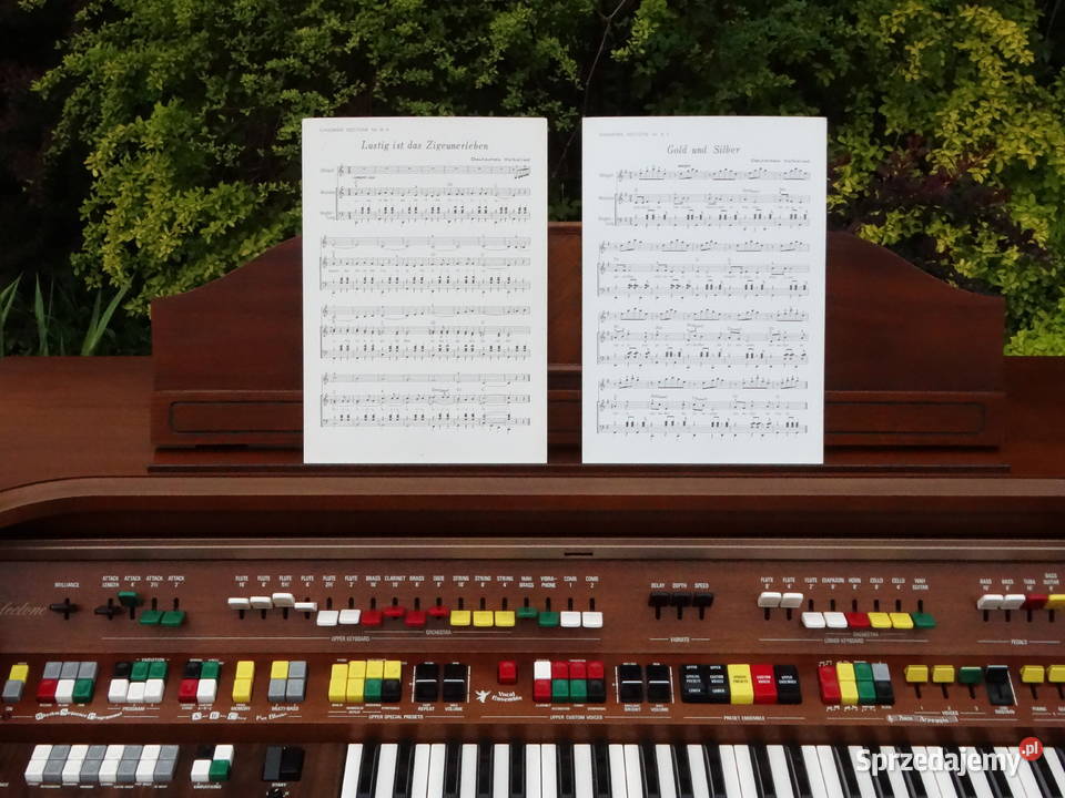 Organy analogowe Yamaha Electone D65 Oryginalna Biłgoraj sprzedam