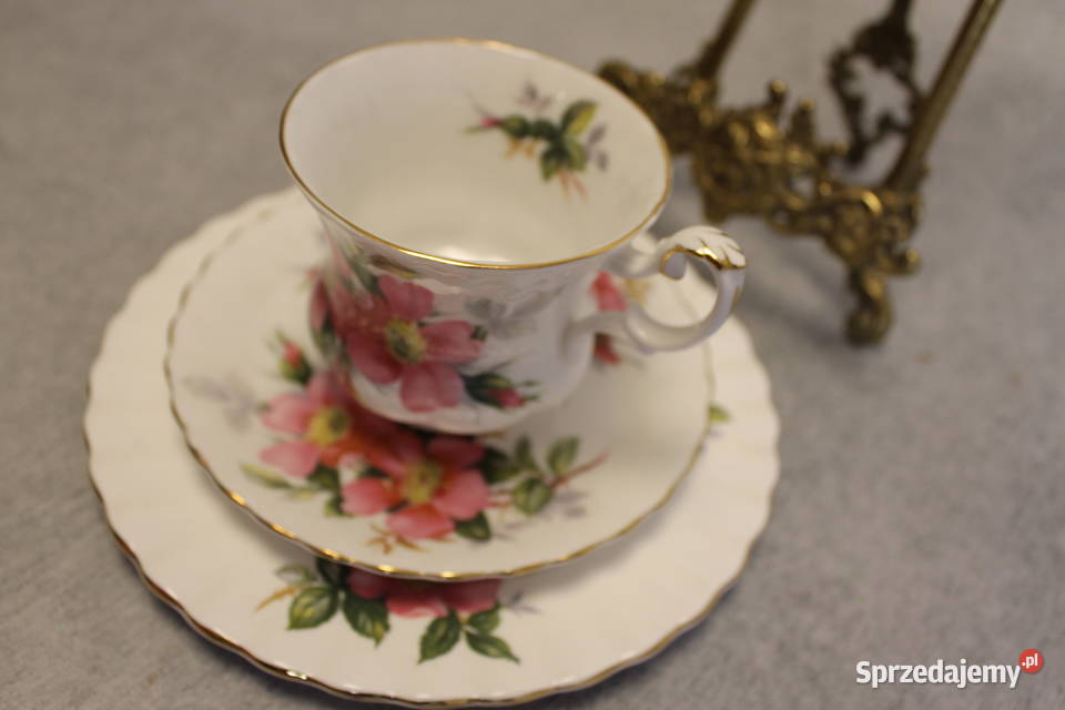 Filiżanka Royal Albert ROYAL ALBERT kwiaty Dobrzany sprzedam