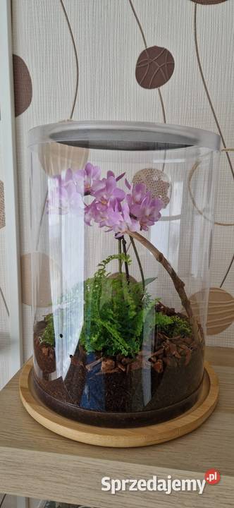 Terrarium z wentylacją 21x35 bezpieczna tuba