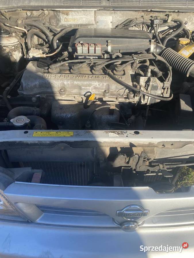 Nissan Almera n15 Kuriany