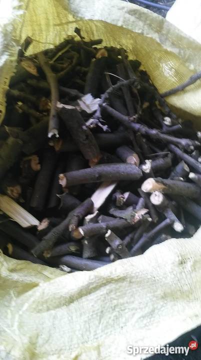 SPRZEDAM Rębak do gałęzi walcowy 8 nożowy Nowy Korczyn