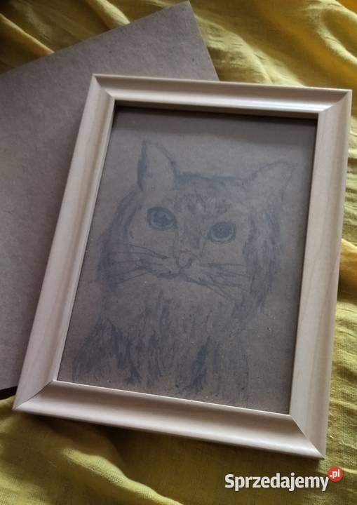 Obraz kotek Kostrzyn nad Odrą