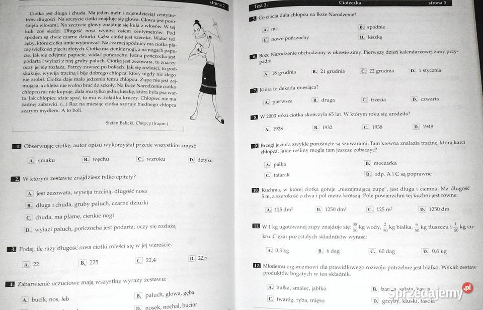 Testomania Testy kompetencyjne szóstoklasitów Chełm