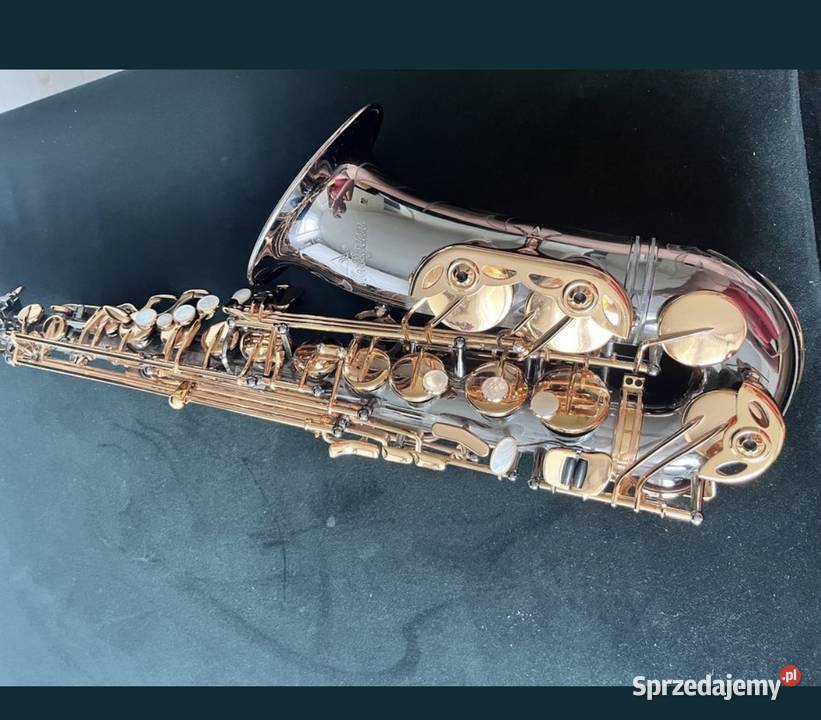 Saksofon Antigua Instrumenty klawiszowe i MIDI Grudziądz