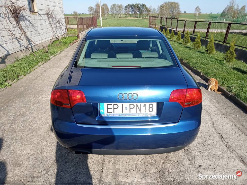Audi A4 B7 20 TDI