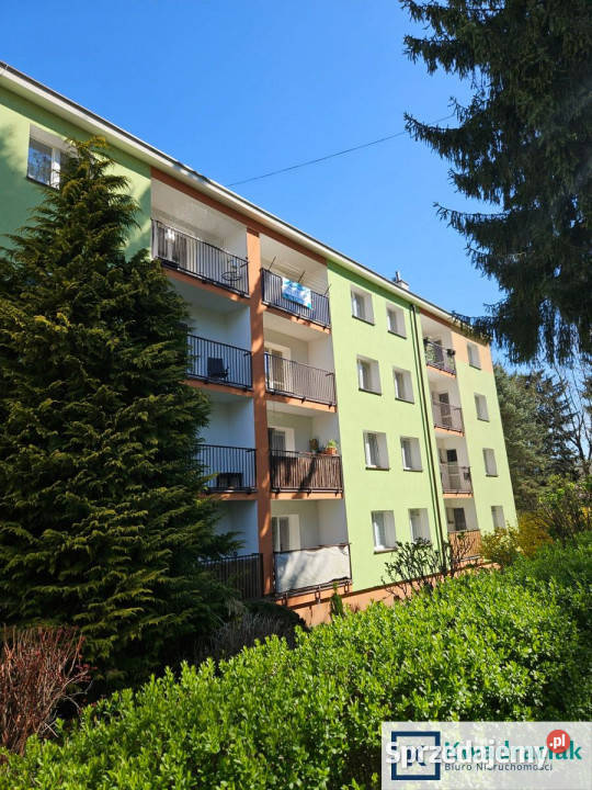 Mieszkanie 685 metrów 3 pokoje Sanok Berka Sprzedaż