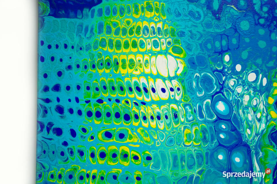 Kolorowy abstrakcyjny obraz Kameleon 50x60