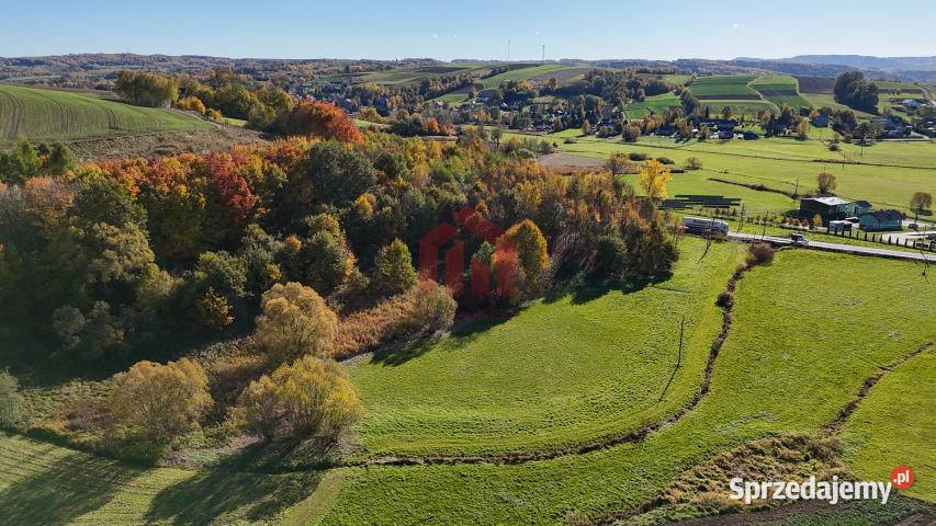 Działka Wielopole Skrzyńskie 1000m2 22m