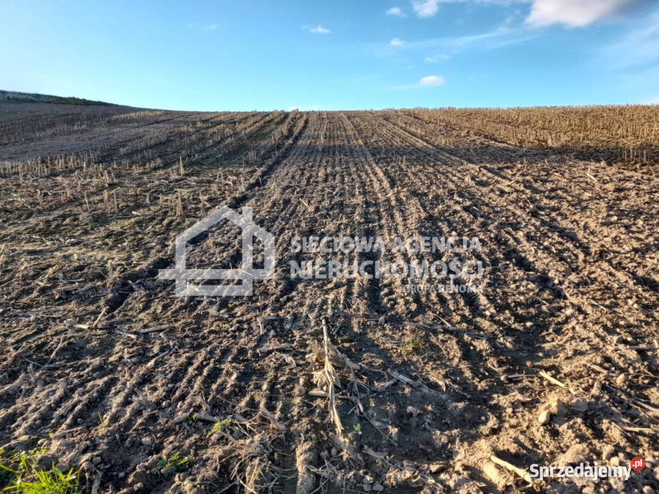 sprzedaży działki 1000m2 Żukowo