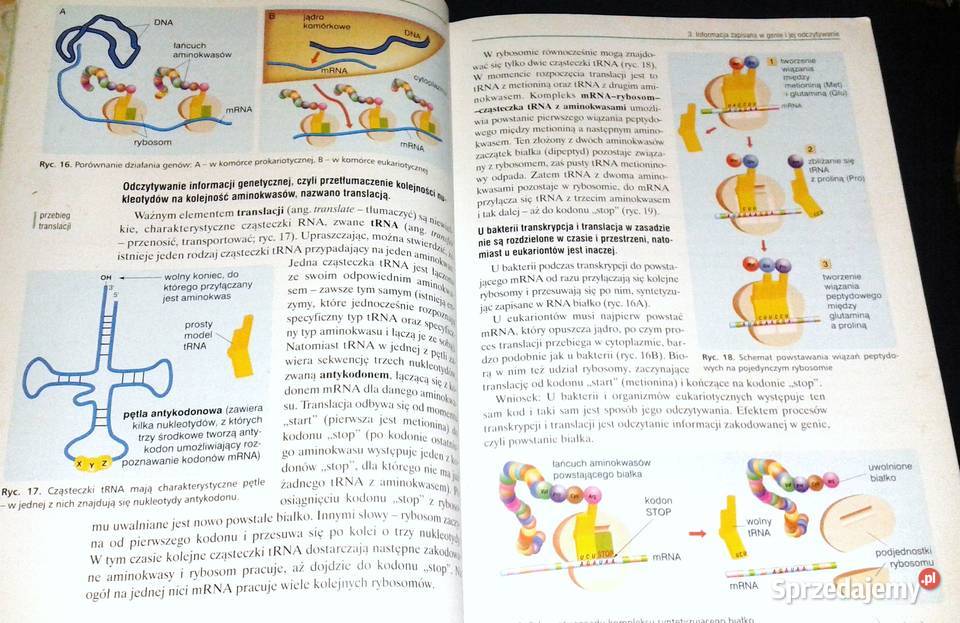 Biologia 2 Podręcznik Jacek Balerstet Ewa lubelskie Chełm sprzedam