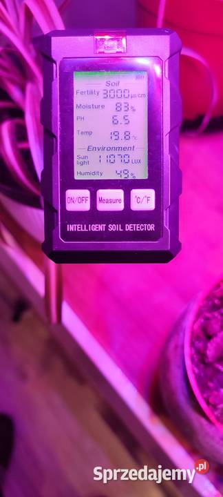 Tester glęby 6w1 Pruszków