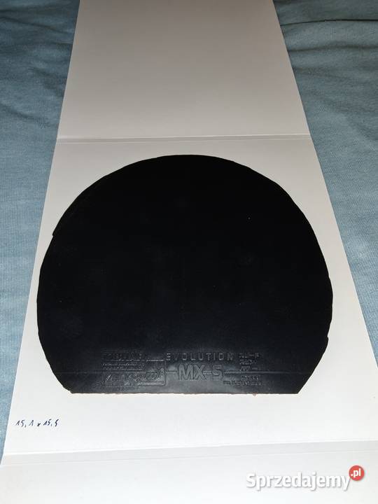 Okładziny tenis stołowy Tenis stołowy wielkopolskie Mnichowice