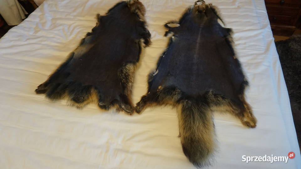 Jenot dwie piękne skóry mazowieckie Warszawa