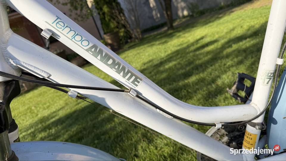 Rower Kross Tempo Andante Młodzieżowy Damski Dąbrowa Górnicza