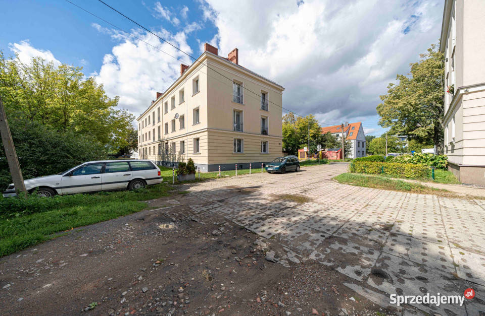 Jasne mieszkanie 379 m do wynajęcia Poznań