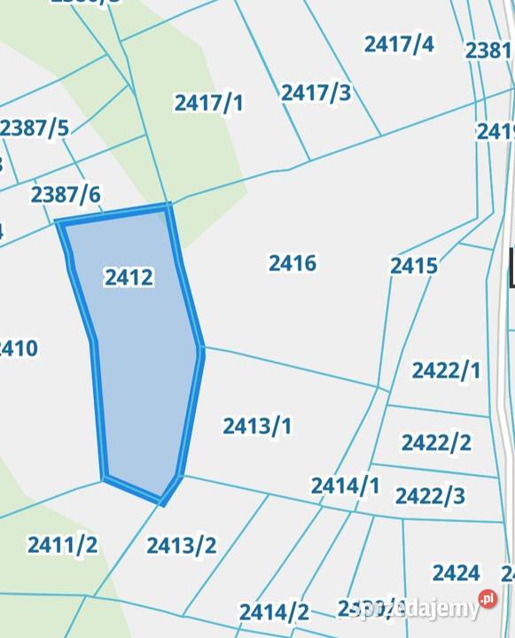 Sprzedam działkę w Bukowinie Tatrzańskiej Bukowina Tatrzańska