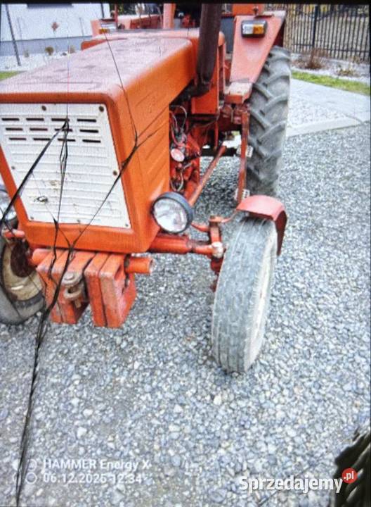 Sprzedam władymirca Lublin sprzedam