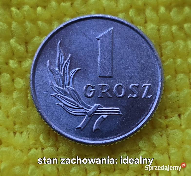 Moneta 1 grosz z 1949r nowa świętokrzyskie Busko-Zdrój