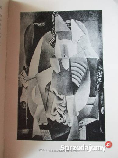 Antonina Vallentin PICASSO sztuka malarstwo Łódź