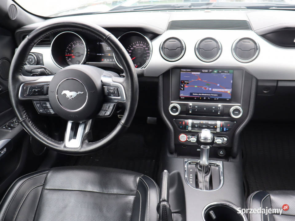 Ford Mustang 23 EcoBoost szary Mustang Ford