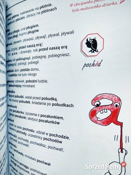 Ilustrowany słownik ortograficzny outlet książki Warszawa sprzedam