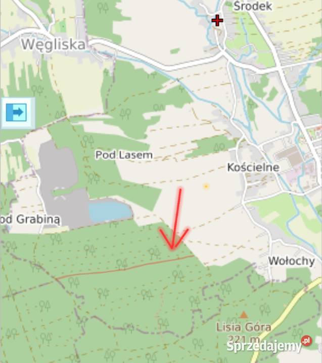 Dzialka leśna rolna Rakszawa