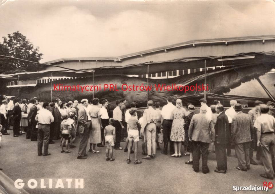 Pocztówka Riesenwal Goliath Norvegia Norwegia Bielsko-Biała sprzedam