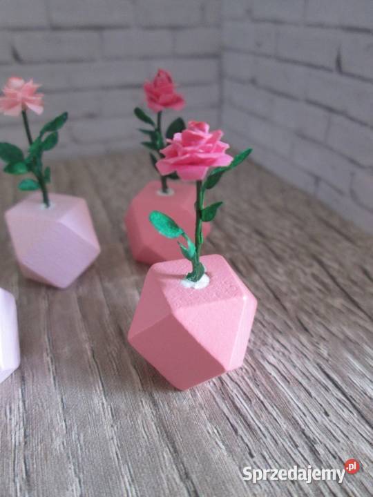 Akcesoria do domku lalek minikwiaty miniatury Bogatynia