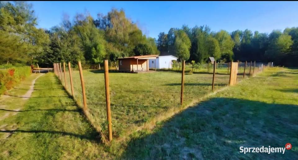 Sprzedam działkę ROD 4ary z domkiem 400m2 Bartoszyce