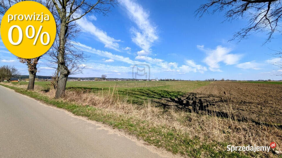 Grunt 449 ha z koncepcją 5 domów Jenin 0 lubuskie