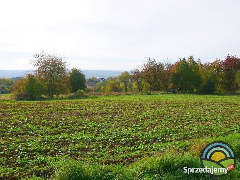 Radwanowice gm Zabierzów widokowa 53arowa
