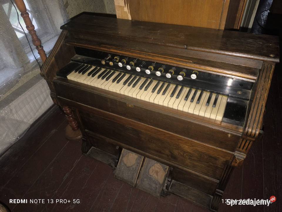 Fisharmonia Wrocław