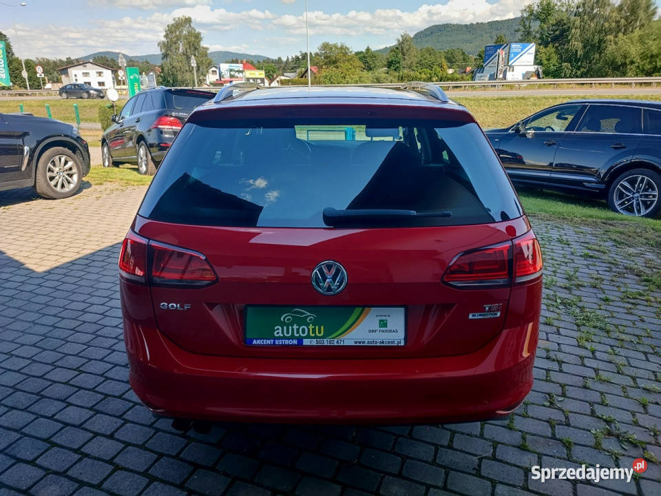Volkswagen Golf Variant 14 TSI Allstar pełny elektryczne lusterka Ustroń