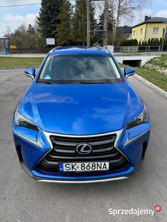 Lexus NX świętokrzyskie