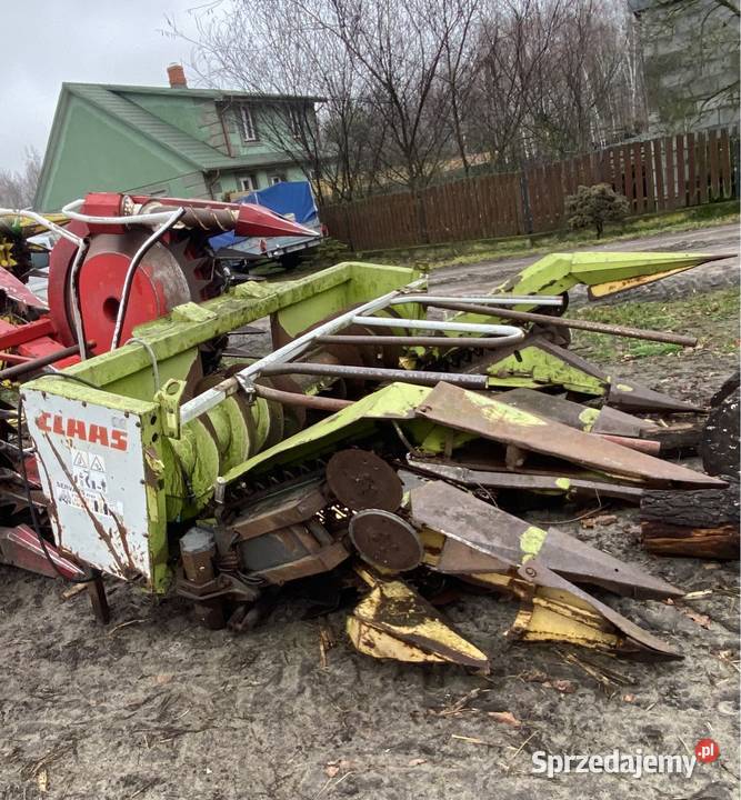 Sieczkarnia do kukurydzy claas jaguar 695 mega Ocięte