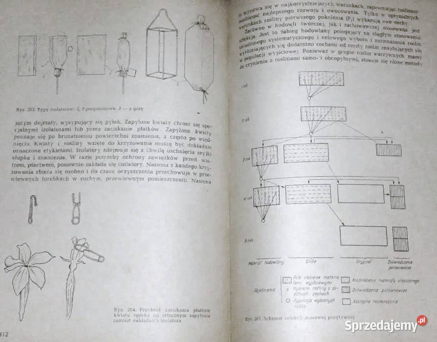 Warzywnictwo M Lityński H Nieć Pozostałe Chełm