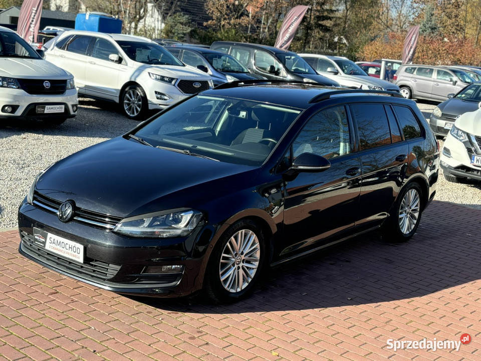Volkswagen Golf Gwarancja Navi Bluetooth Ksenon Sade Budy sprzedam
