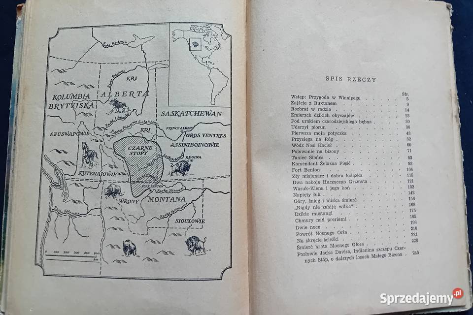 Arkady Fiedler Mały Bizon Iskry 1953 r Wydanie