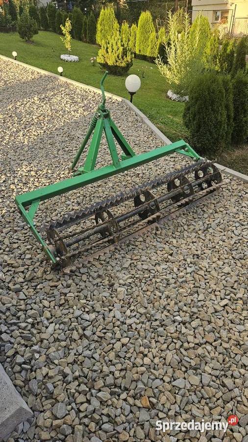 Wał strunowy nieuszkodzony Olszanica