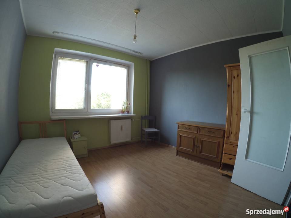 Wynajem mieszkania wielkopolskie