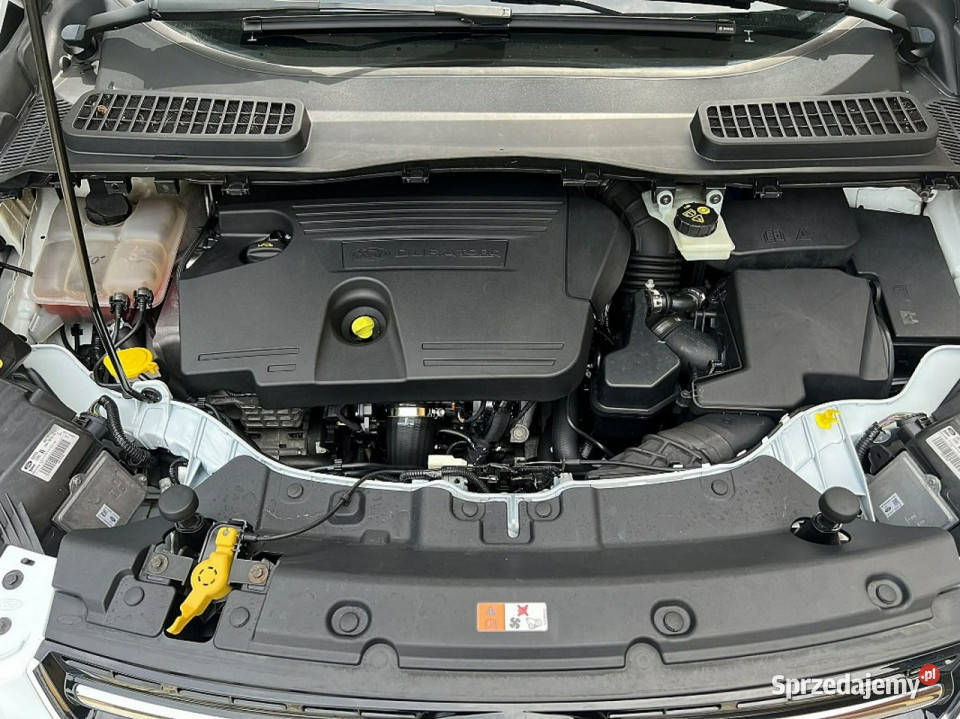 Ford Kuga 20 4x4 Automat Kamery PółSkóry podgrzewane fotele Płońsk sprzedam