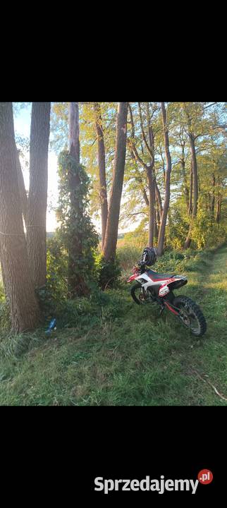 RFZ 250 Jabłonowo Pomorskie sprzedam