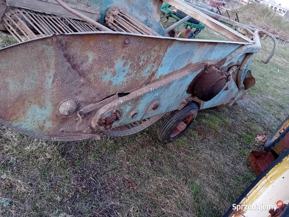 Sprzedam kopaczke elewatorowa Ryki sprzedam