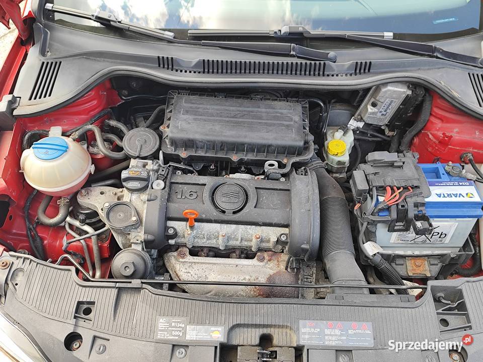 Seat Ibiza IV 16 MPI XENON OPŁACONY STAN