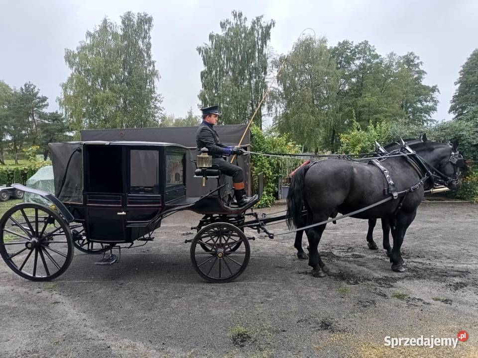 Glaslandauer Granatowy Lando Powóz Bryczka Dobroń