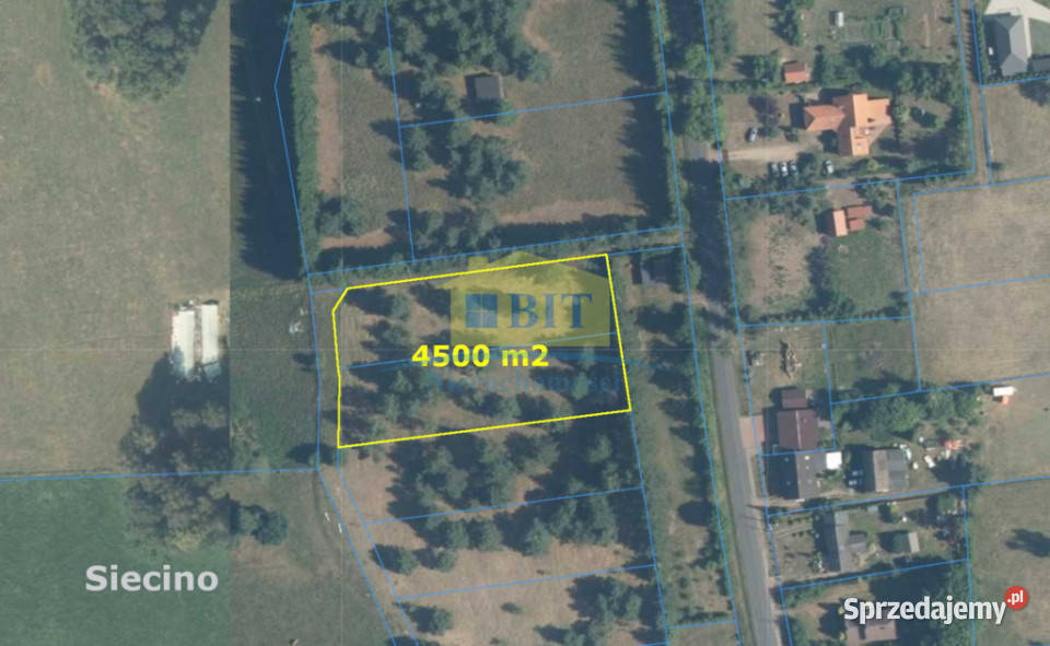 Grunt 4500m2 Jeziorem Siecino wydane WZ Nieruchomości