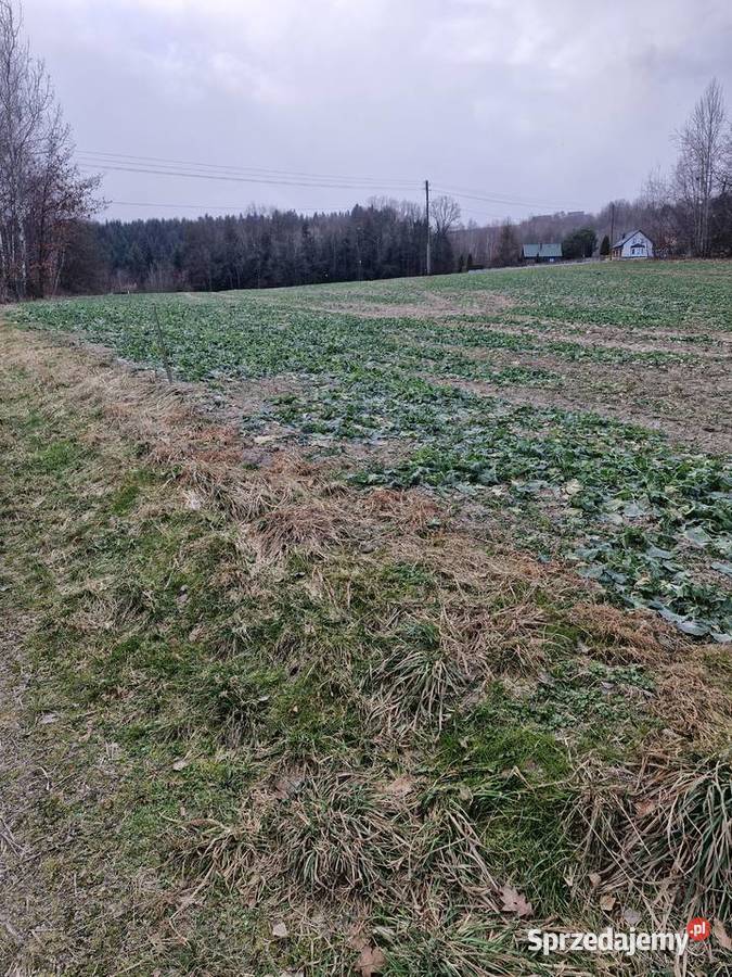 Sprzedam działkę 175ha budowlano rolna las